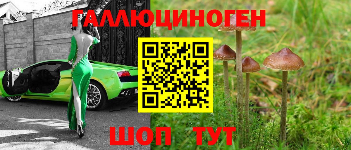Урай  Псилоцибиновые грибы Cubensis  купить наркотики сайты  Вход с VPN 